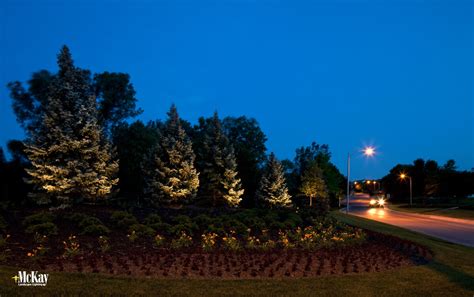 Neighborhood Entrance Lighting Mckay Landscape Lighting