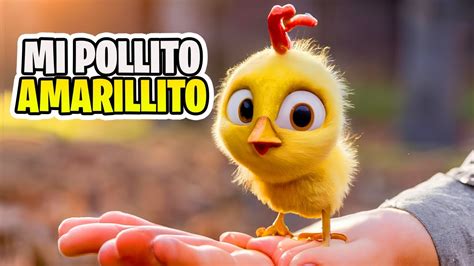 Mi Pollito Amarillito Canci N Infantil Animada Videos Para Ni Os