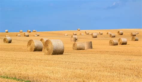 Free Images Landscape Nature Snow Bale Field Farm Wheat