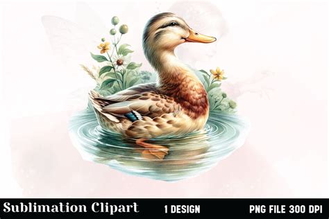 Watercolor Duck Clipart Graphic By Vertex · Creative Fabrica