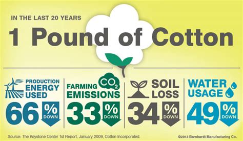 Sustainability: Cotton Farming Practices [Infographic] | Barnhardt ...