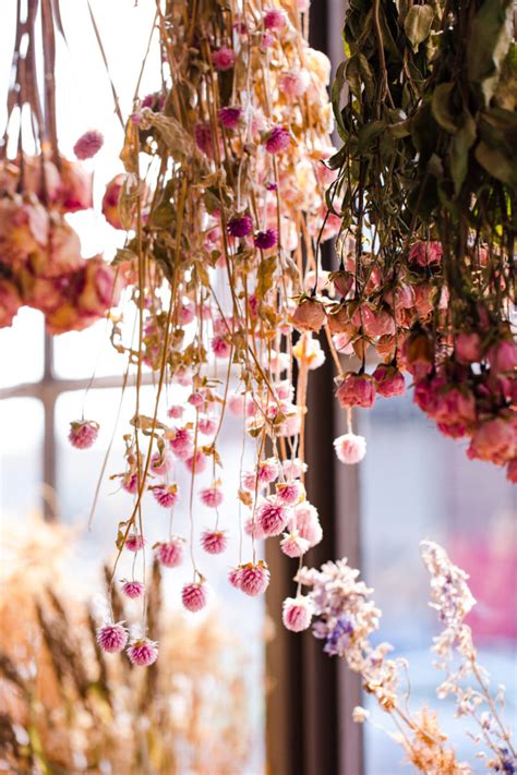 The Dried Bouquets Stems Brooklyn