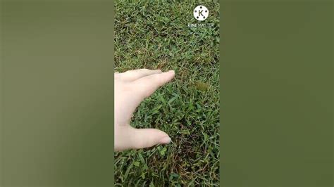 Discord Mod Touches Grass Youtube