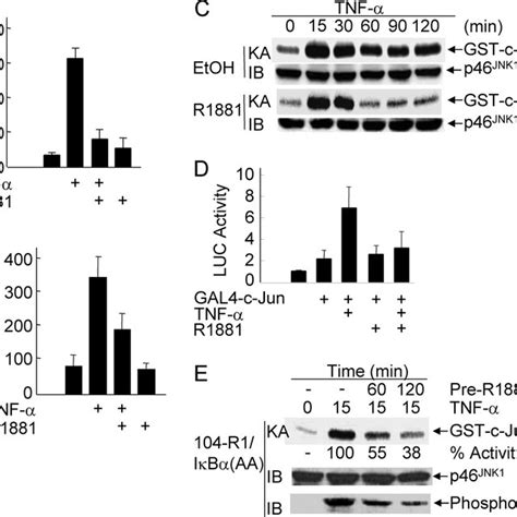 Inhibition By Androgen On Tnf Induced Jnk Activation And Apoptosis Is