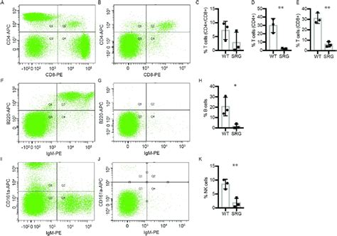 Immunophenotyping Of Peripheral Blood Flow Cytometry Dot Plots Show