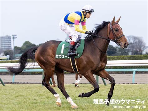 【逃げ馬の作る展開から勝ち馬を見極める】神戸新聞杯2023 スローペースでも逃げ馬は不振？狙い馬の特徴からアノ馬一択！｜競馬ニュース｜競馬予想