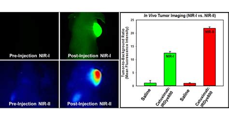 Off Peak Near Infrared II NIR II Bioimaging Of An Immunoconjugate