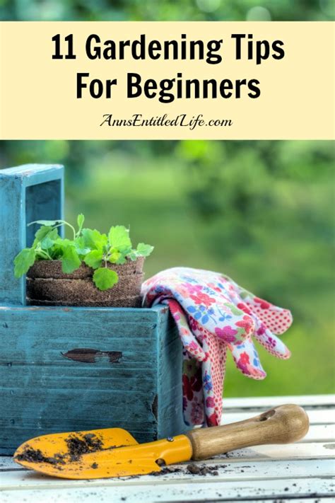 11 Gardening Tips For Beginners