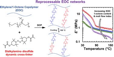 Novel Covalent Adaptable Networks Cans Of Ethylene Octene