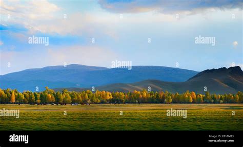 Steppe And Trees Hi Res Stock Photography And Images Alamy