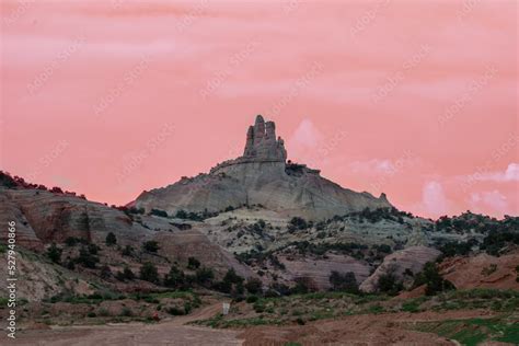 Red rock canyon in Utah and Arizona with beautiful greenery Stock Photo ...