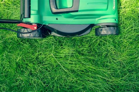 Maximising Lawn Health A Comprehensive Guide To Mulching Lawn Mowers