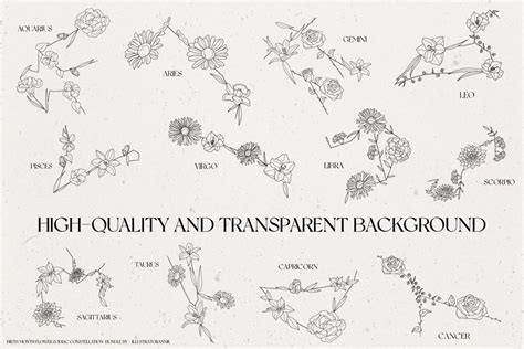 Birth Month Zodiac Constellations MasterBundles