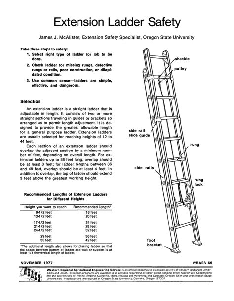 Extension Ladder Safety