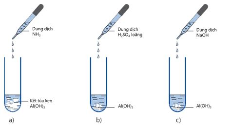 Al Oh 3 Naoh Hiện Tượng Khám Phá Phản Ứng Hóa Học Thú Vị