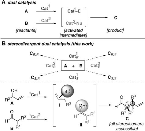 Enantio And Diastereodivergent Dual Catalysis Allylation Of