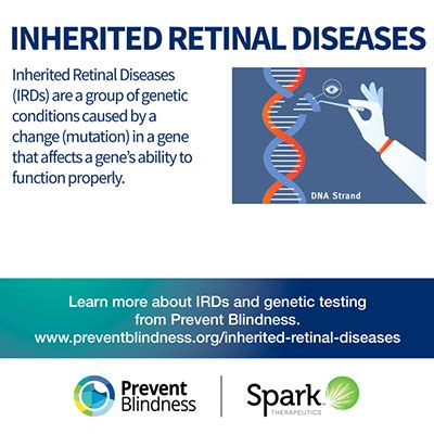 VM Prevent Blindness Declares Third Annual Inherited Retinal Disease