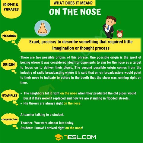 On the Nose Meaning, Origin and Examples • 7ESL