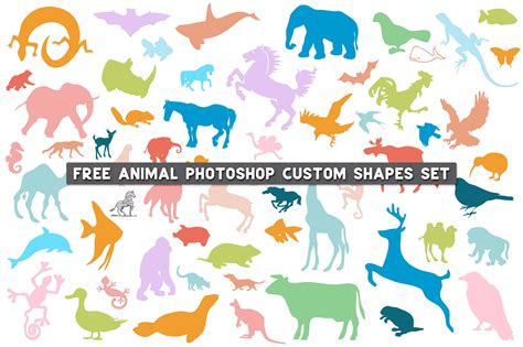 Animal Photoshop