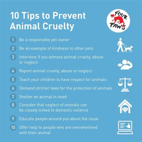 Ways To Prevent Cruelty To Animals Four Paws In Us Global Animal