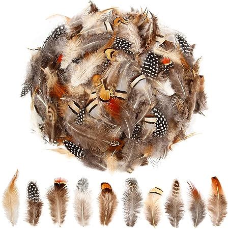 Amazon SendyFeather 200pcs 10 Style Natural Feathers Assorted