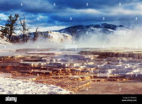 Mammoth Hot Springs Stock Photo Alamy