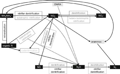 8 Overview Of N 2 O Producing Processes Carried Out By Nitrifiers And