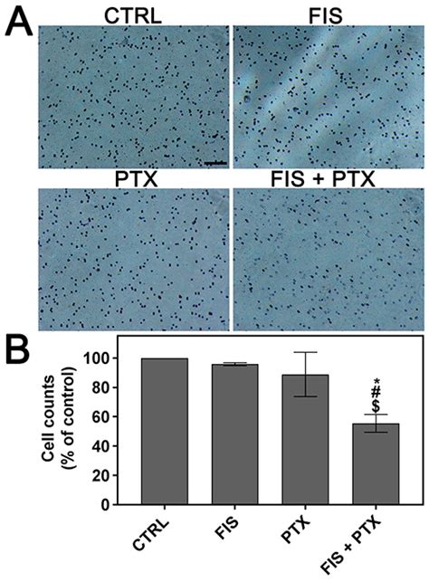 Ijms Free Full Text Evaluation Of Anti Metastatic Potential Of The