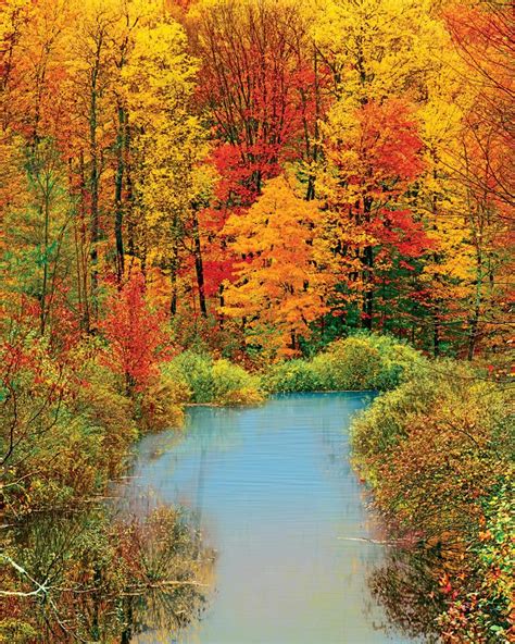 The Reflection Of Fall In Fabulous Orange And Yellow Colors In The