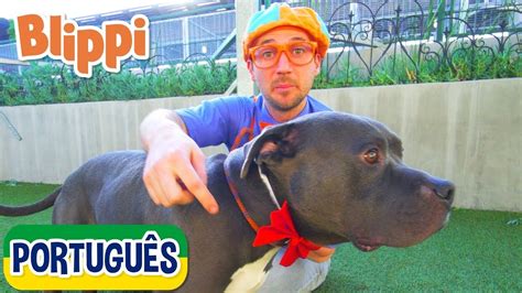 BLIPPI PORTUGUÊS Blippi Visita um Abrigo de Animais Vídeos