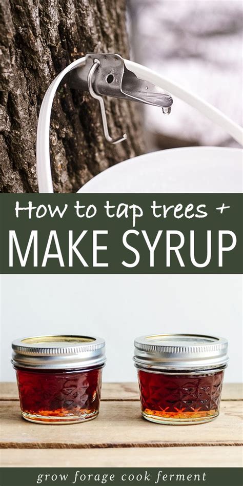 How To Tap Trees And Make Syrup In Your Backyard Artofit