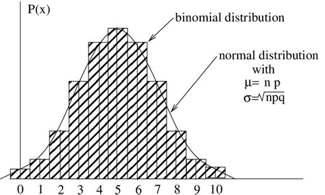 Binomial Distribution Graph