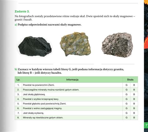 Na Fotografiach Zosta Y Przedstawione R Ne Rodzaje Ska