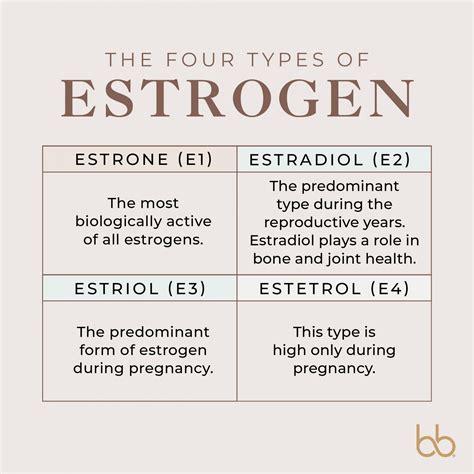 What To Know About Estrogen Dominance Beingbrigid