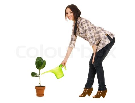 Beautiful Young Woman Watering A Plant Stock Image Colourbox