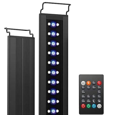 Comment Bien Choisir Sa Rampe Led Aquarium Pour Un Joli Rendu