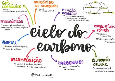 Ciclo Do Carbono Ciclo Do Carbono Mapa Mental Estudos Para O Enem