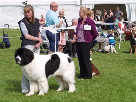 Great Harwood Agricultural Show