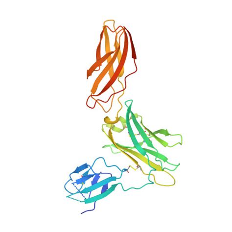 RCSB PDB 5UWC Cytokine Receptor Complex