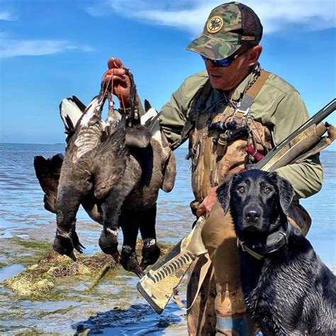 Obregon Mexico Duck Hunting Photos Ramsey Russells