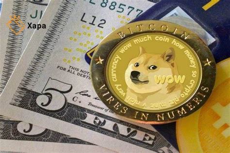 How To Exchange Dogecoin To Bitcoin? - Xapa Wallet