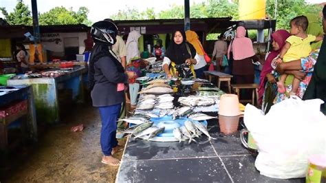 Dampak Cuaca Ekstrem Di Maluku Harga Ikan Sampai Rp Per Ekor