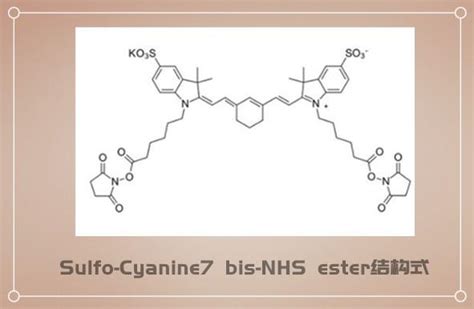 进行荧光标记sulfo Cy7 Bis Nhs，sulfo Cyanine7 Bis Se，磺酸基cy7 Bis 酯 哔哩哔哩