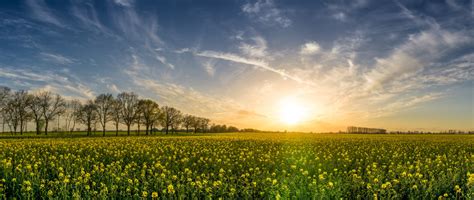 Free Images Landscape Nature Horizon Blossom Cloud Sky Sun