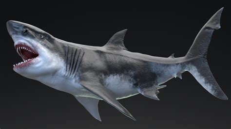 Megalodon Sea Monster Series 5 In Characters Ue Marketplace