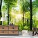 Beautiful Green Sunny Forest Wall Mural Peel And Stick Vinyl Wallpaper