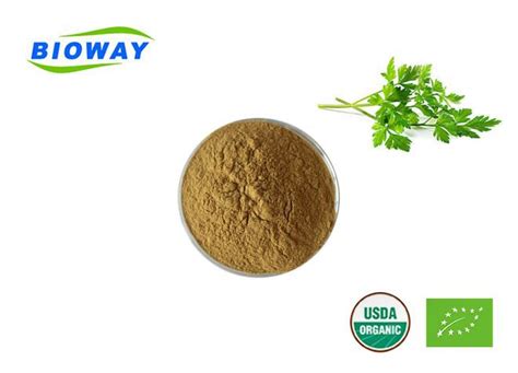 China Parsley Extract Powder Suppliers Manufacturers Factory