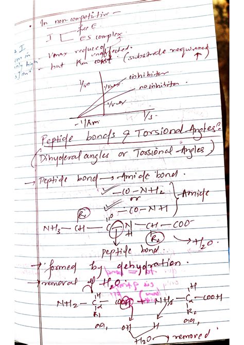 SOLUTION: Peptide bond torsional angle biochemistry - Studypool