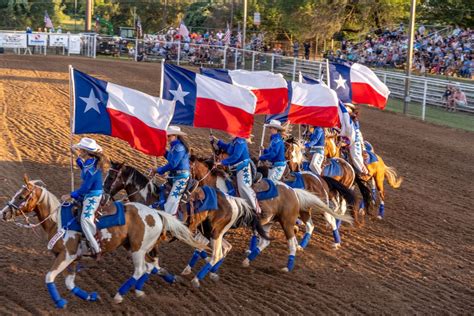 10 Facts About the Texas State Flag