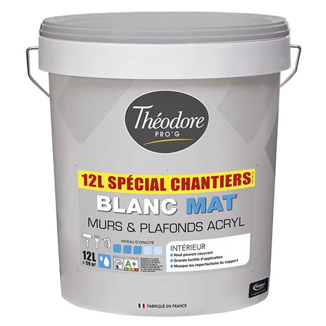 Murs Et Plafonds Blanc Mat Sp Cial Chantiers Theolaur Peintures